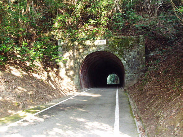 両脇に路肩がある狭い道路の先に、雑木林に囲まれたアーチ形のトンネルがある様子の写真