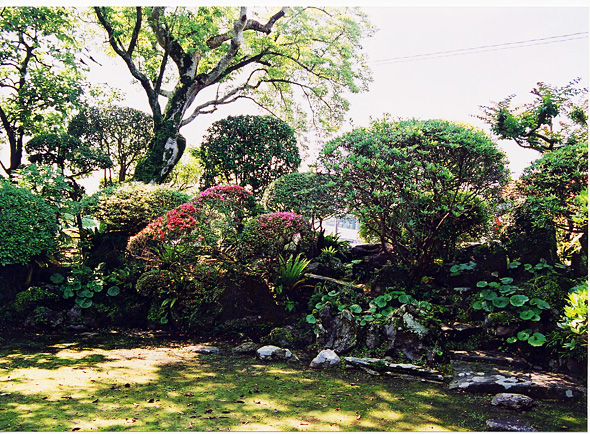 新緑の木々や茂みのある庭園の写真