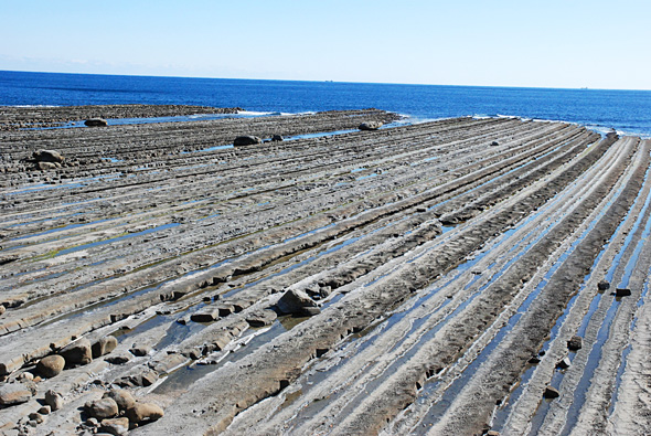 海を背景に大きな砂石や泥岩が多い砂浜の写真
