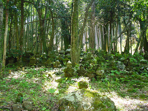 木々の間に連なる苔むした石積みが連なる歓楽寺の墓碑群の写真