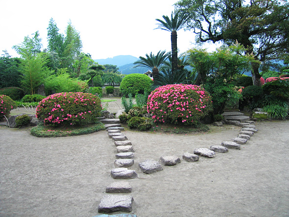 木々を背景にピンク色の花が咲いている木と等間隔に配置された石で作られた小道の写真