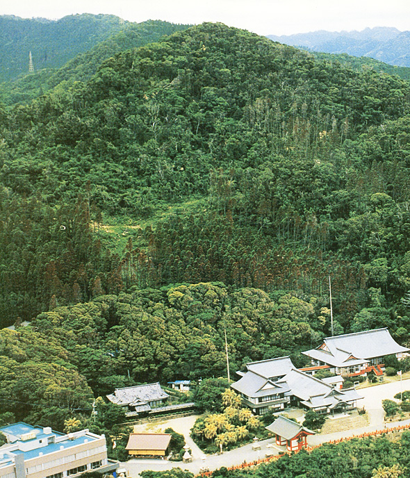 民家に迫る深い森におおわれた吾平山山稜の写真