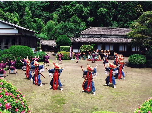 きれいに剪定された庭の中央の芝生上で、衣装を身に着けた人たちが両手を挙げて泰平踊を踊っている様子の写真