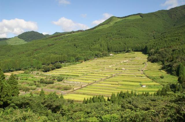 山の斜面の一部に棚田が広がっている様子を上から撮影した写真