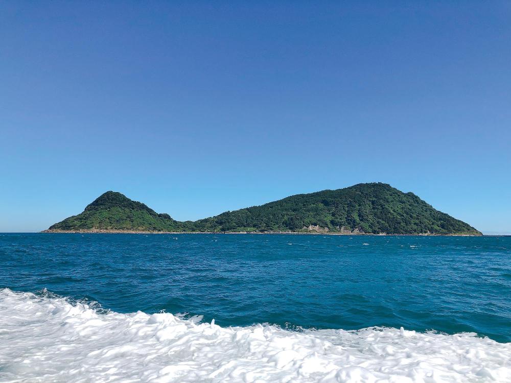 海から見た大島の全体が見える写真