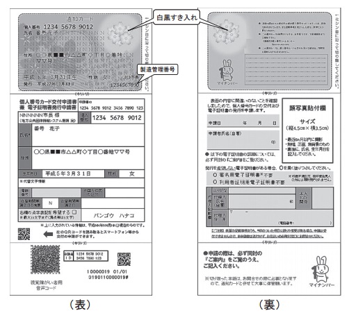 左:個人番号と氏名、住所が記載されている縦長の用紙の個人番号通知カードの表面、右:マイナチャンのイラストがあり顔写真添付欄がある縦長の用紙の個人番号通知カードの裏面の見本