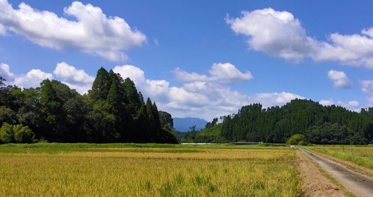 山、田、空の画像