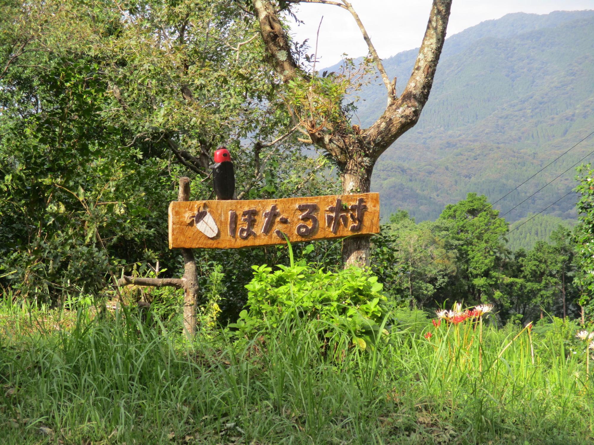 草むらの中に、「ほたる村」と彫られた木の看板が木に取り付けられている写真