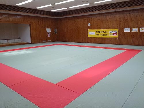 室内全体に緑色の柔道の畳が敷かれており、一部が赤色の畳で四角の枠状に囲んでいる写真