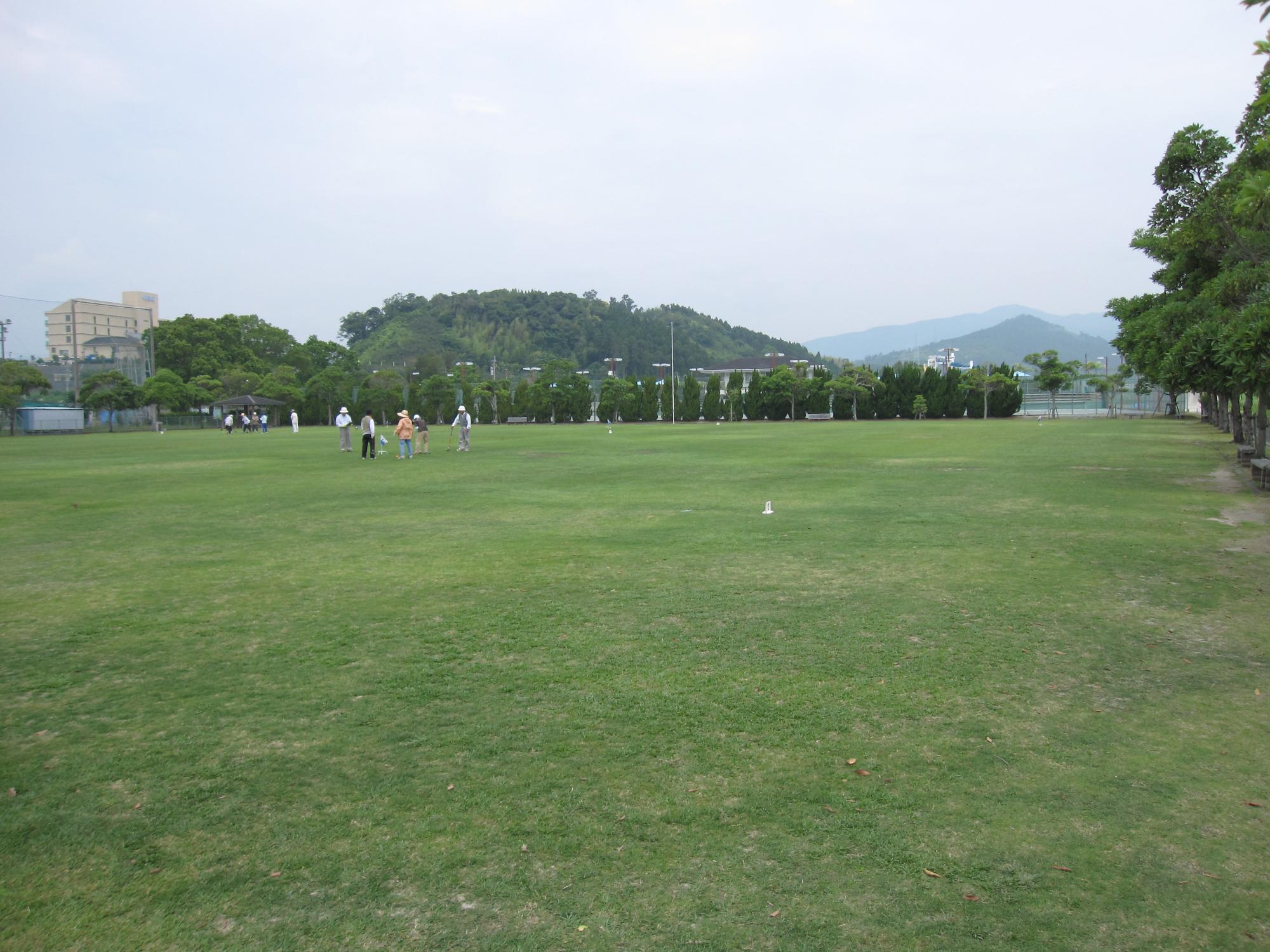 広い芝生広場でゲートボールを楽しむ人々がおり、向かって右側には背の高い木が並んでいる様子の写真