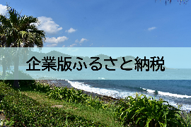 企業版ふるさと納税