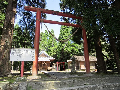 大きな朱色の鳥居と参道の奥にある本殿の写真