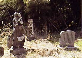 晴天の下枯草の中に建つ3基の墓石の写真