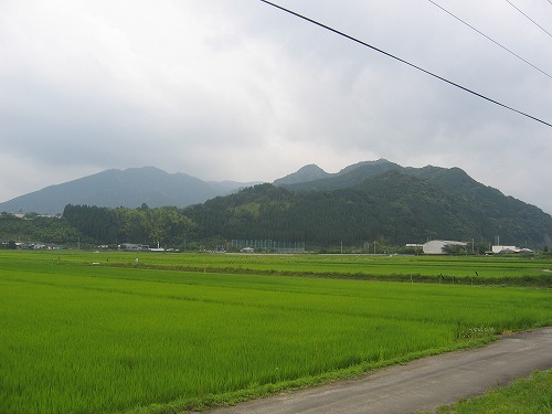 青々とした田んぼの稲が広がる先に、雨雲に覆われた山並みが見える郷之原城跡付近を撮影した写真
