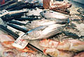 港に水揚げされたばかりの魚介類が並べてある写真